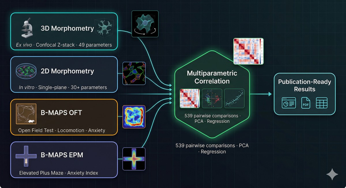 Complete Morphometric & Behavioral Pipeline